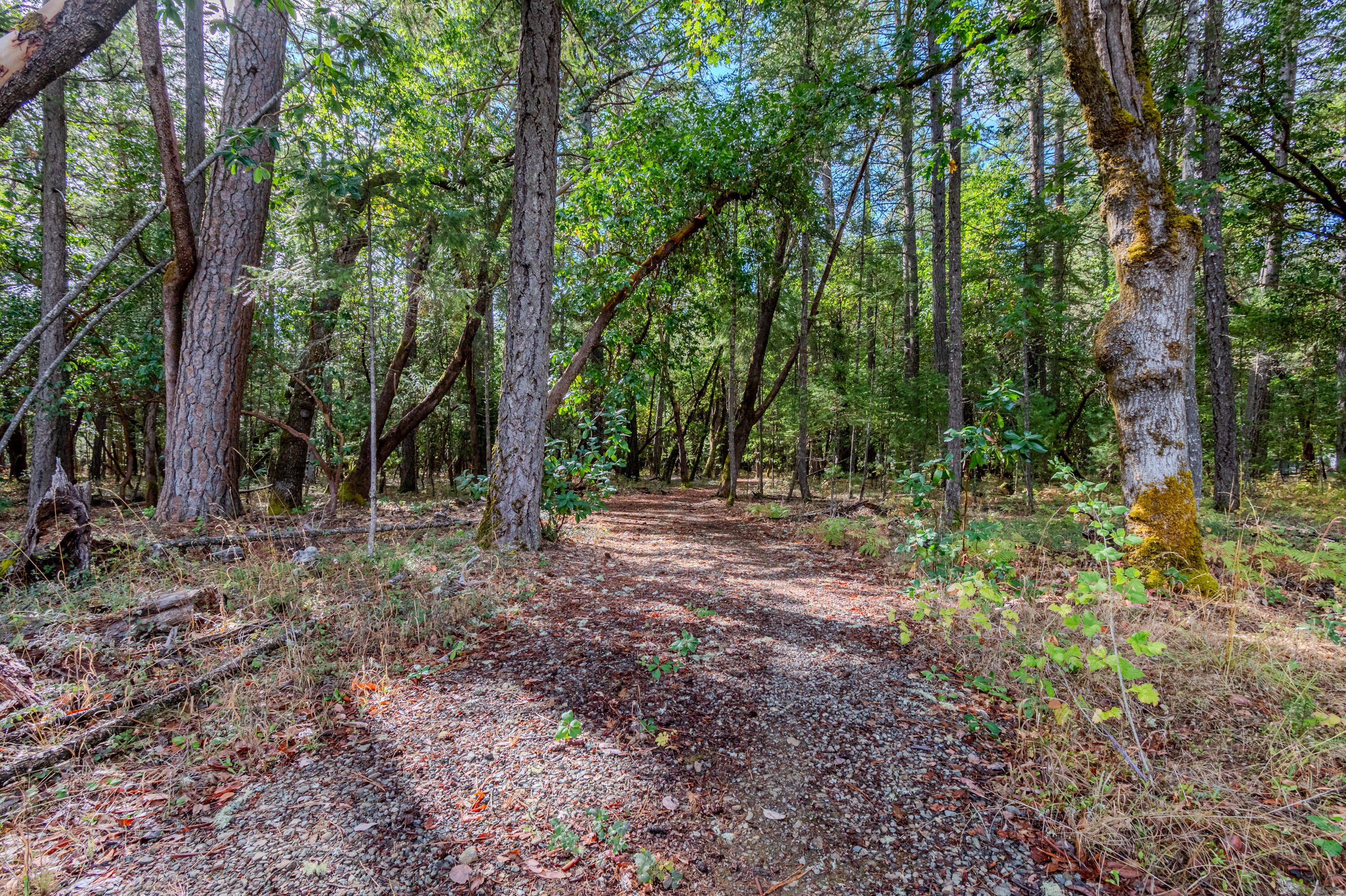 Peaceful Valley Acres Subdivision - Land