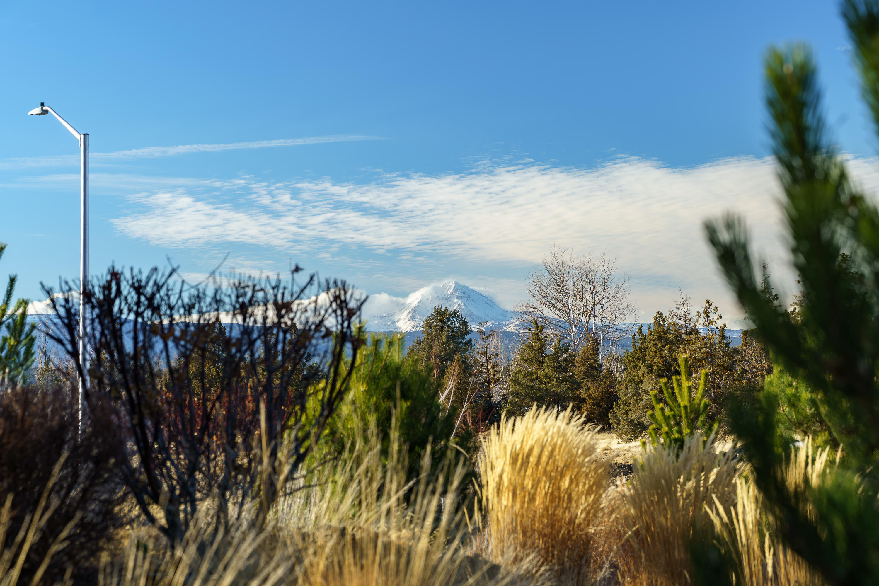 Petrosa - Residential