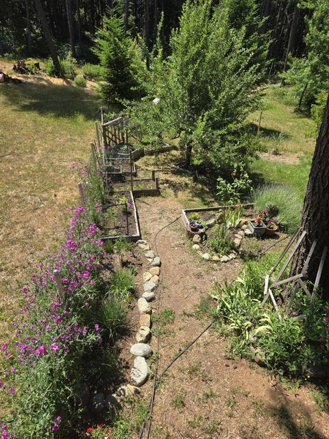 Tiny photo for 707 McMullen Creek Road, Selma, OR 97538 (MLS # 220219251)