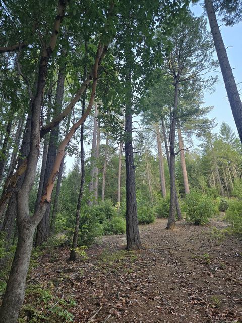 Tiny photo for 707 McMullen Creek Road, Selma, OR 97538 (MLS # 220219251)