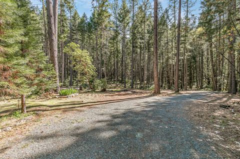 Tiny photo for 707 McMullen Creek Road, Selma, OR 97538 (MLS # 220219251)