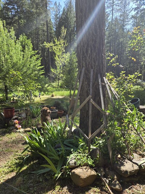 Tiny photo for 707 McMullen Creek Road, Selma, OR 97538 (MLS # 220219251)