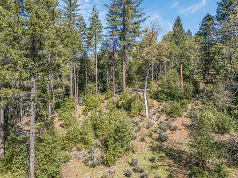 Tiny photo for 707 McMullen Creek Road, Selma, OR 97538 (MLS # 220219251)