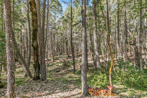 Tiny photo for 707 McMullen Creek Road, Selma, OR 97538 (MLS # 220219251)