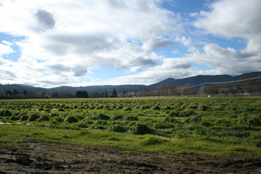 45.97 Acres of EFU land, totally irrigated, adjacent to city limits of Jacksonville.  Has a non-expiring homesite with a septic tank in place.  Was previously farmed and currently vacant.  Buyers to do own due diligence.