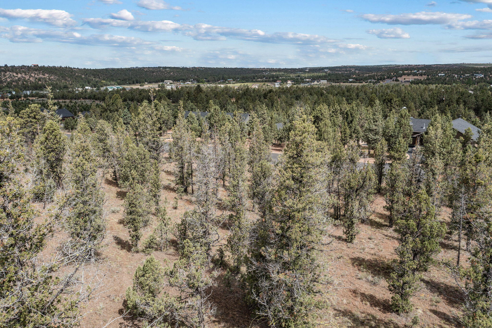 Mountain Ridge Est. - Land