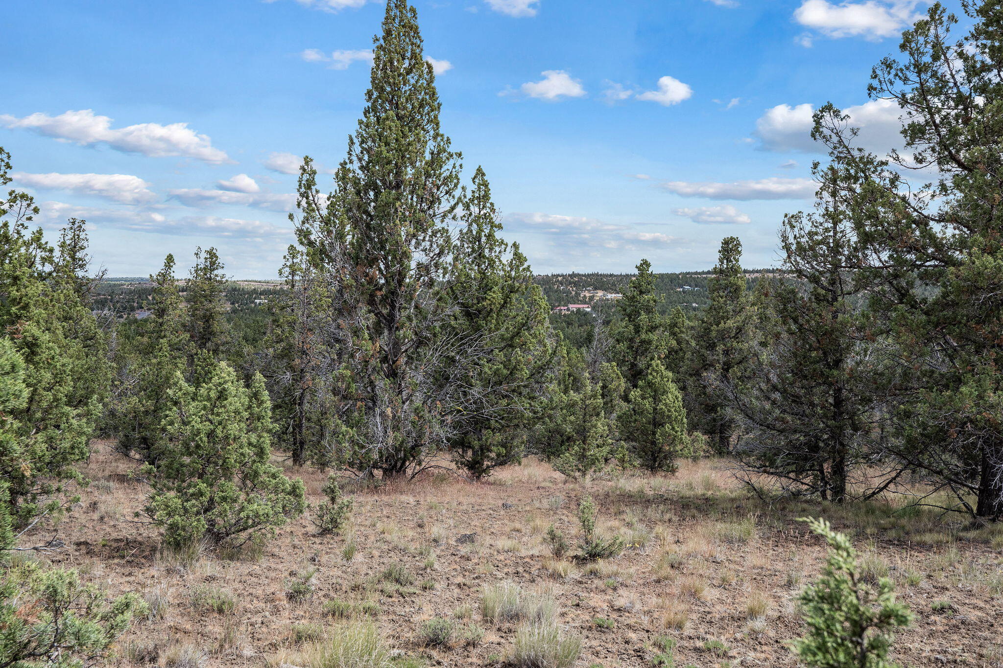 Mountain Ridge Est. - Land