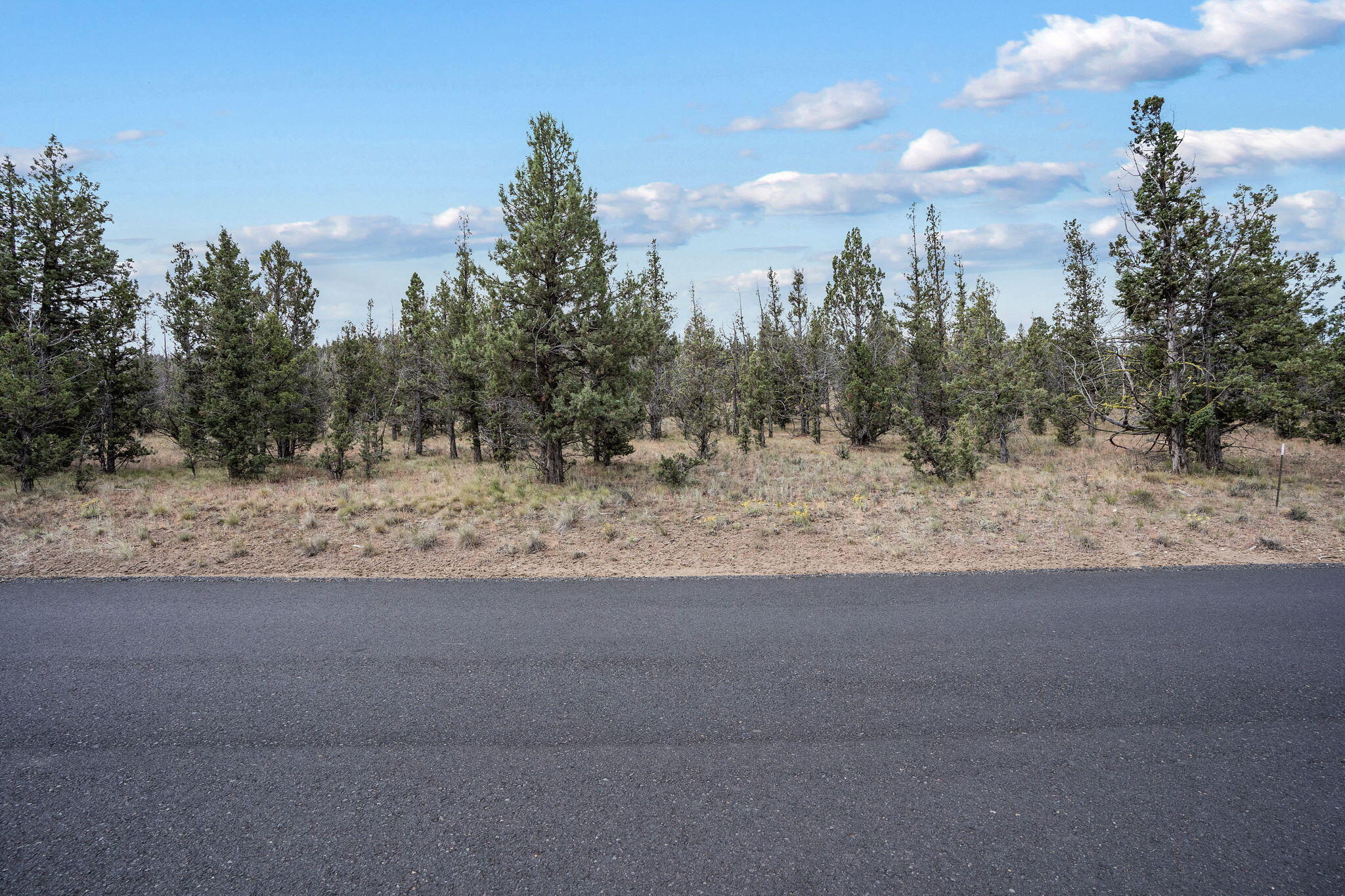 Mountain Ridge Est. - Land