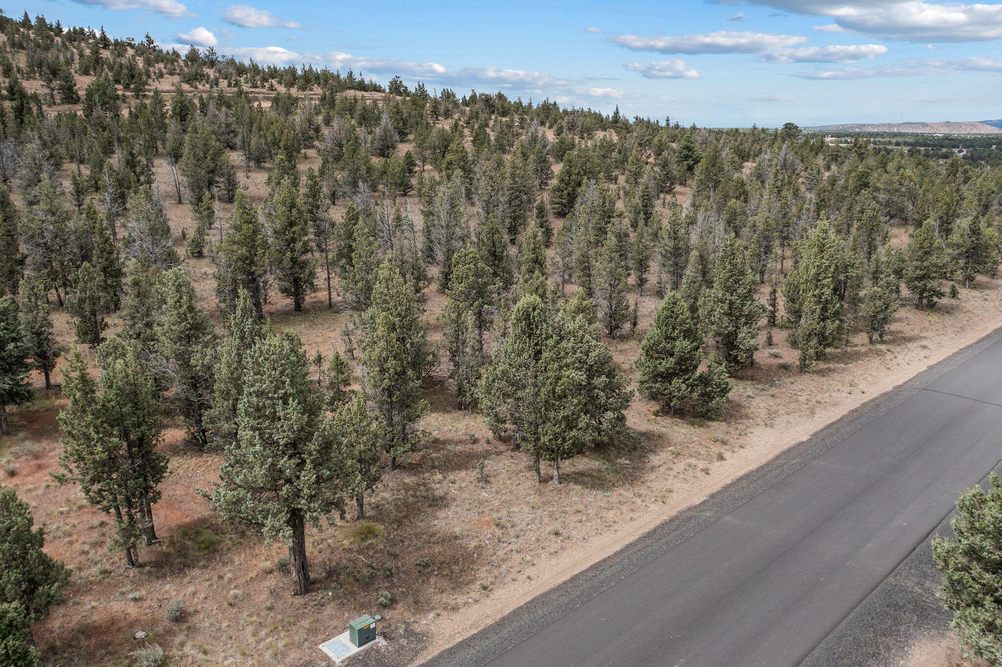 Mountain Ridge Est. - Land