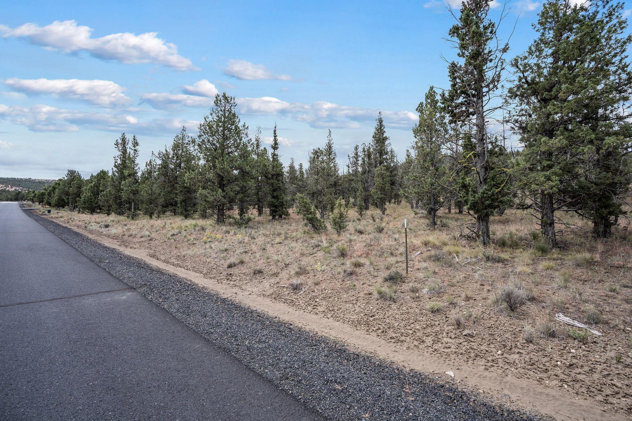 Mountain Ridge Est. - Land