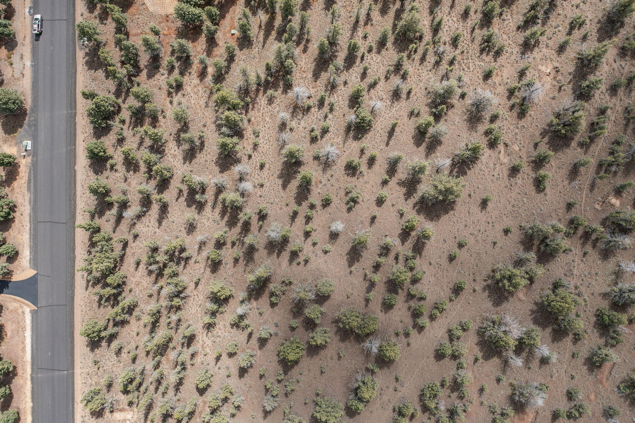 Mountain Ridge Est. - Land