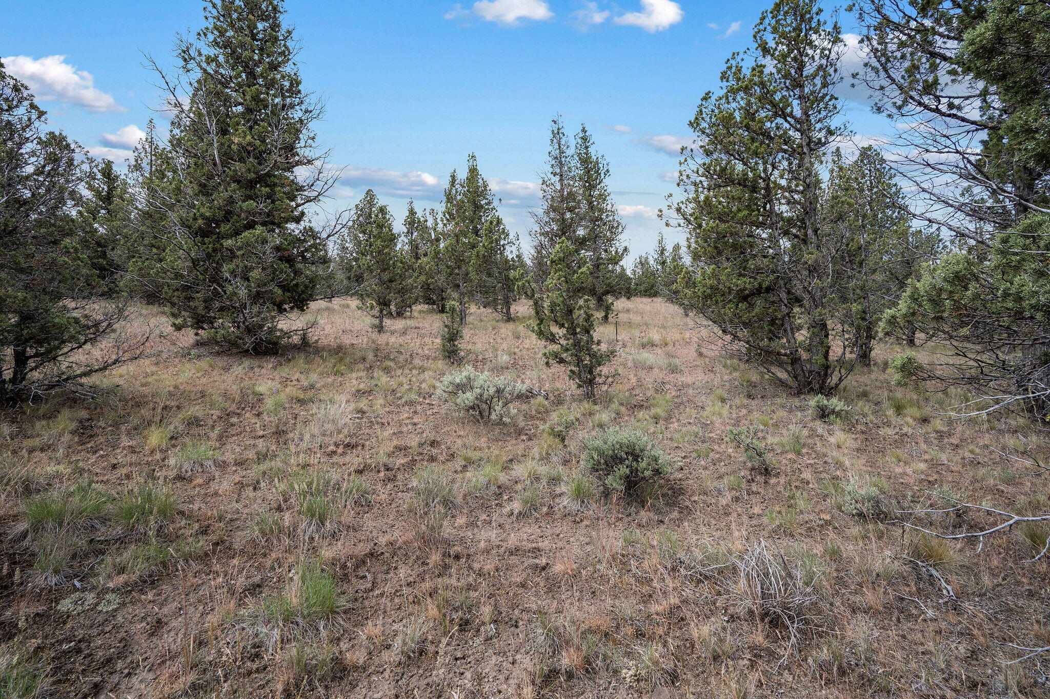 Mountain Ridge Est. - Land