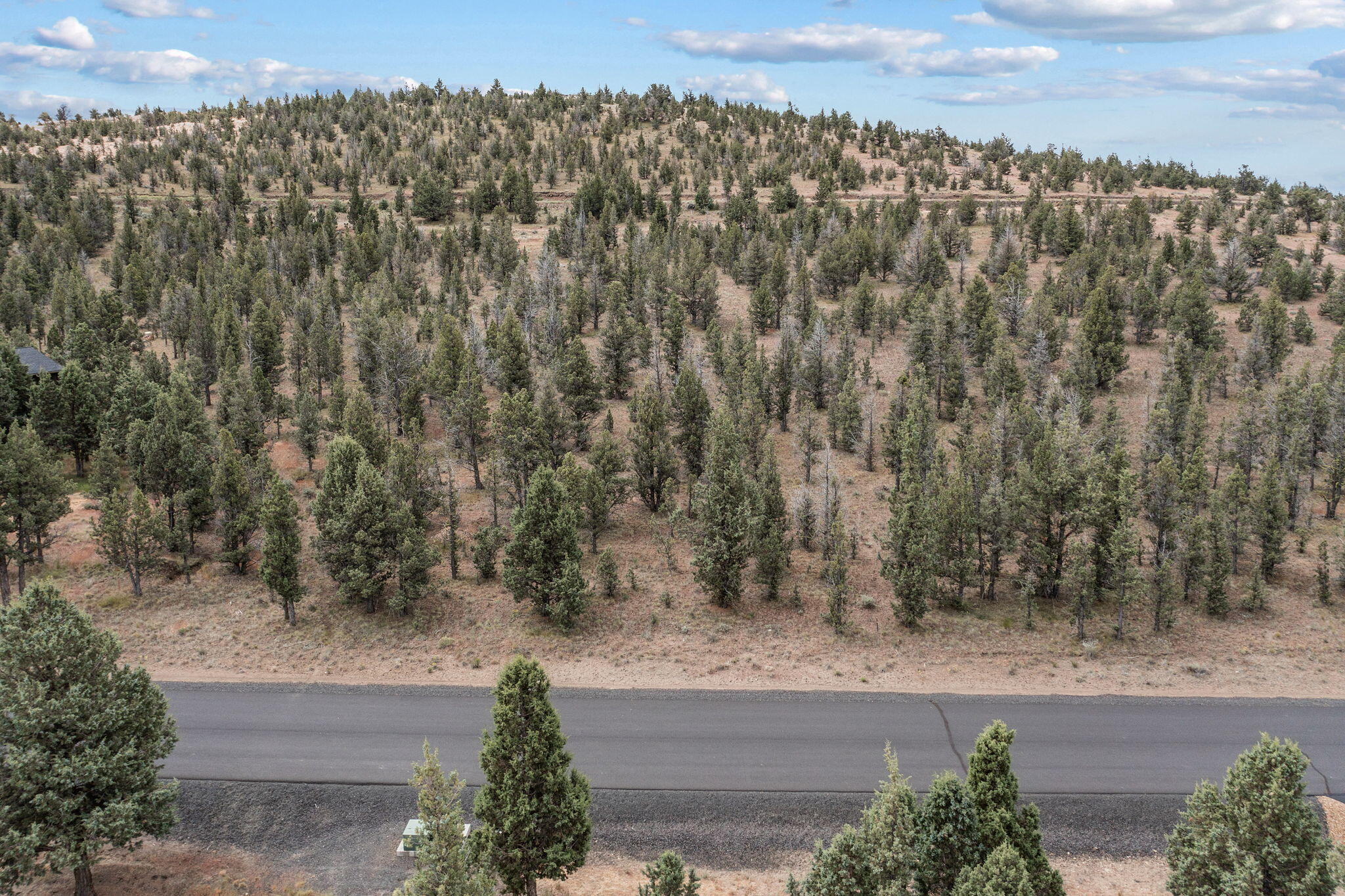 Mountain Ridge Est. - Land