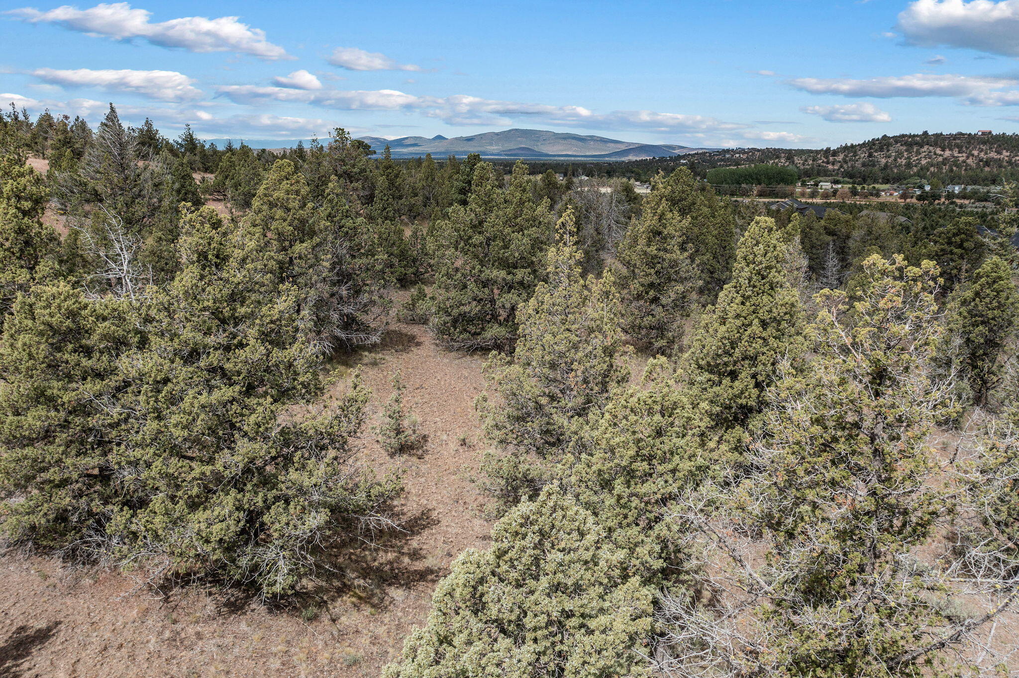 Mountain Ridge Est. - Land