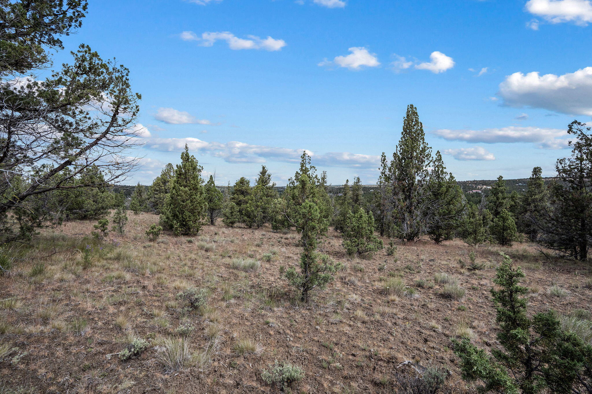 Mountain Ridge Est. - Land