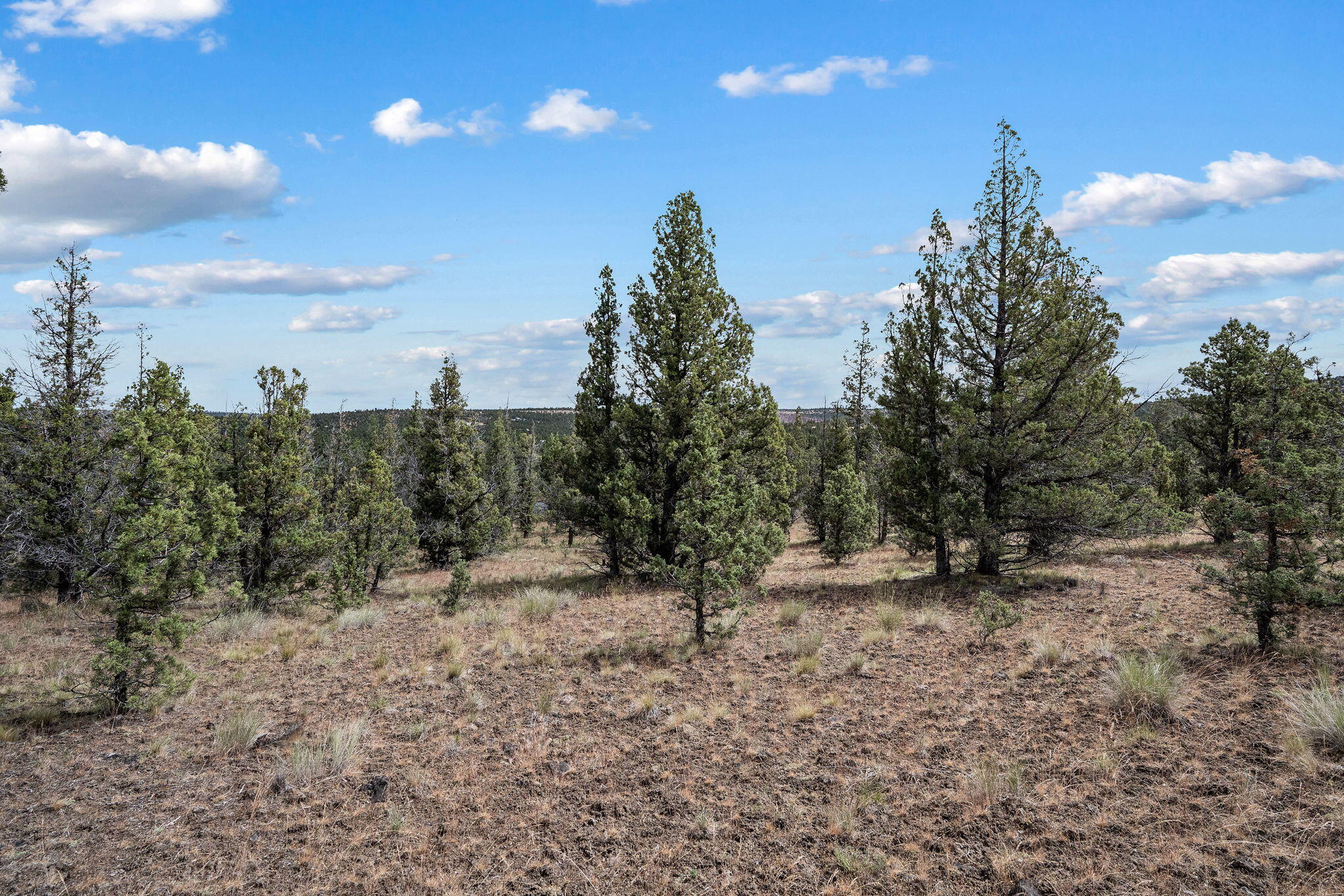 Mountain Ridge Est. - Land