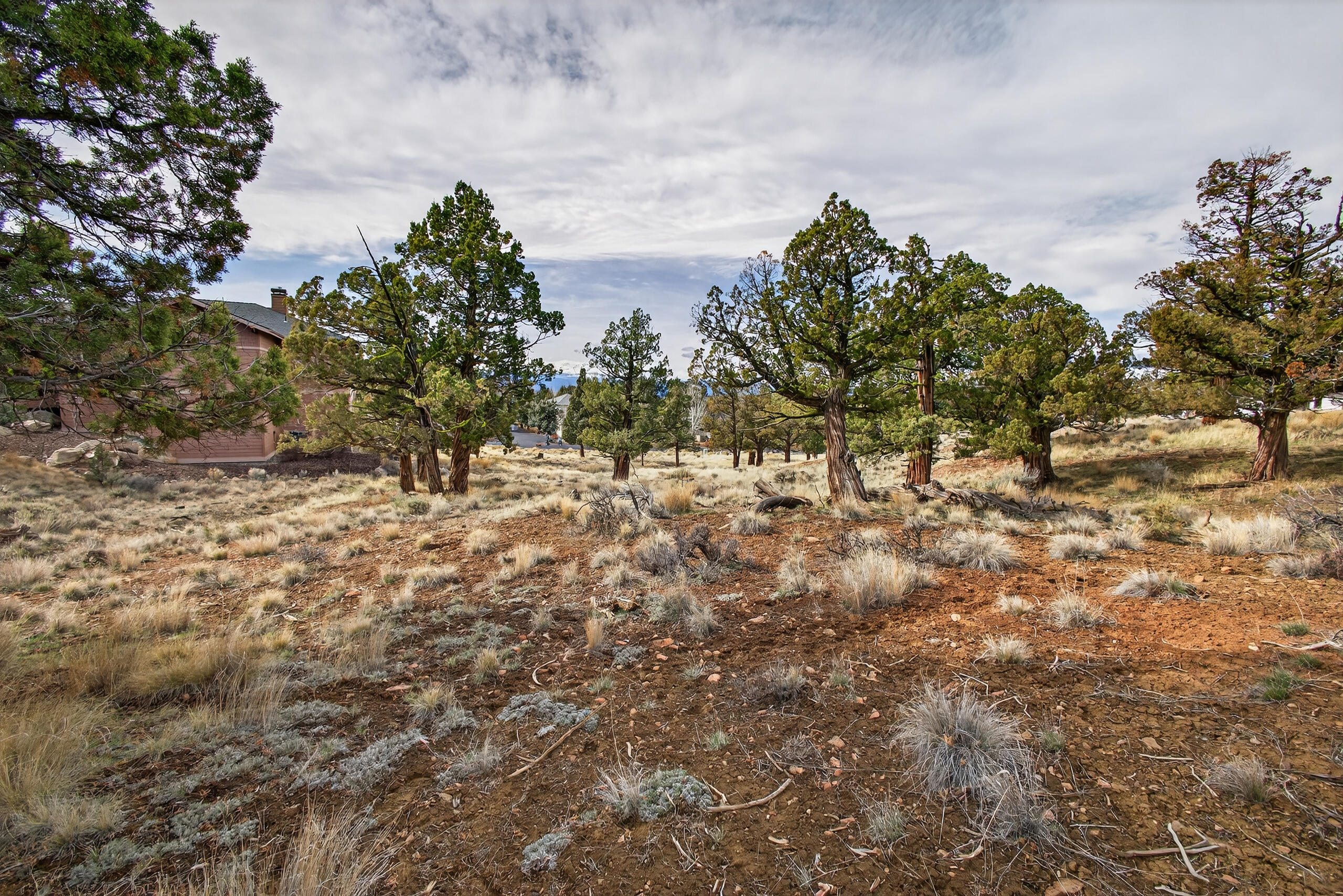 1386 Spring Ridge Court