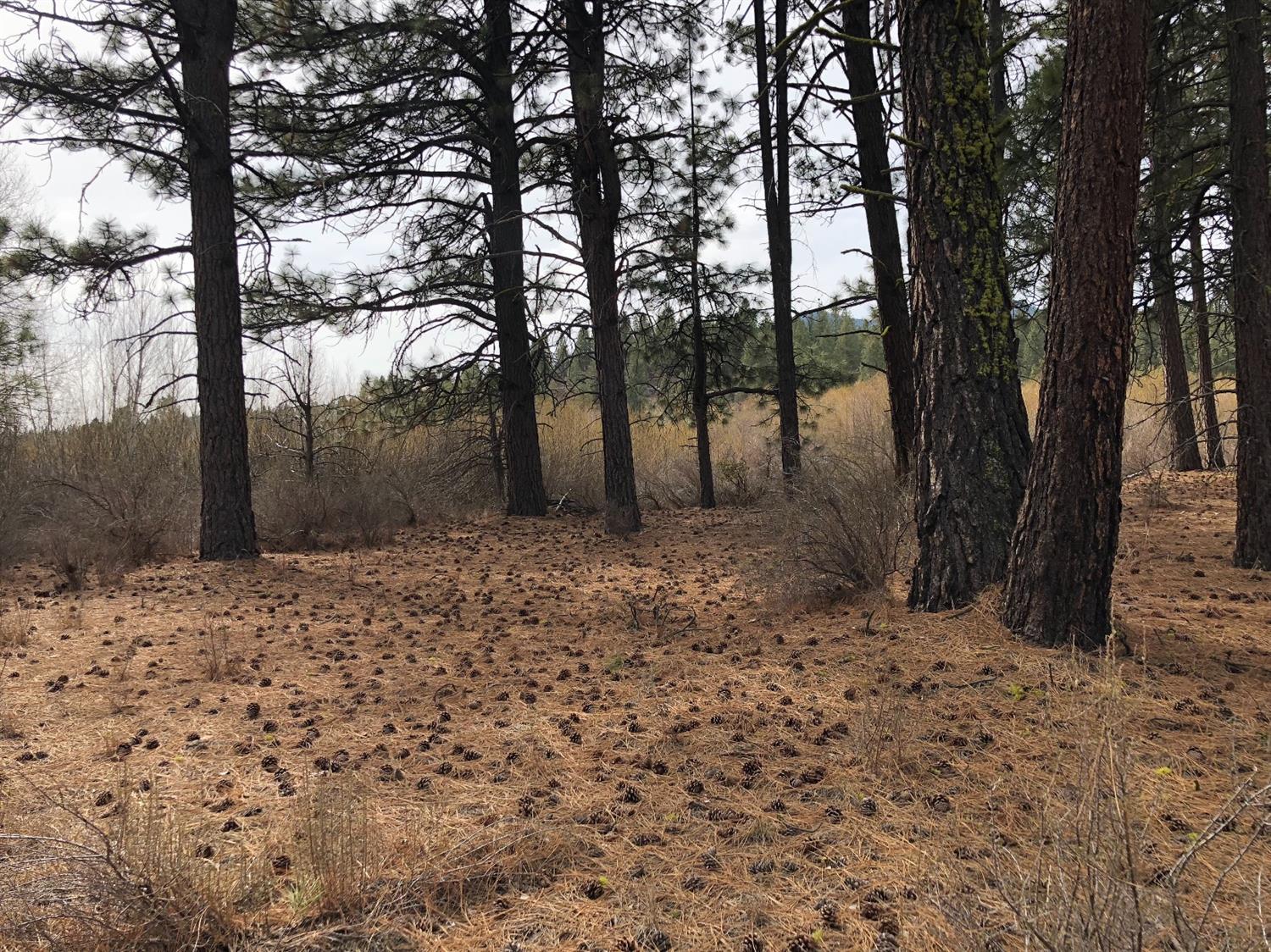 Sunburst Estates - Residential