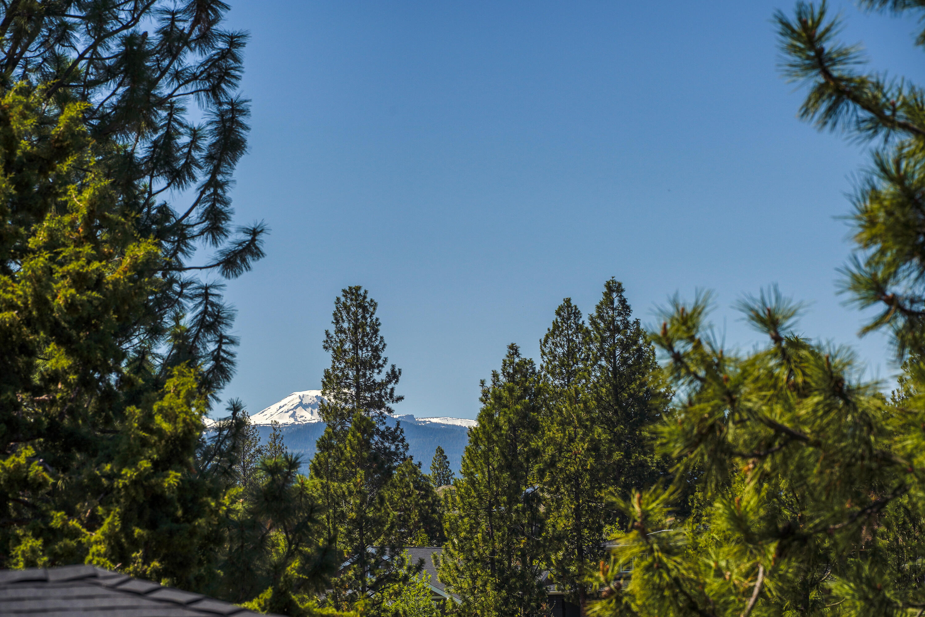 Skyliner Summit - Residential