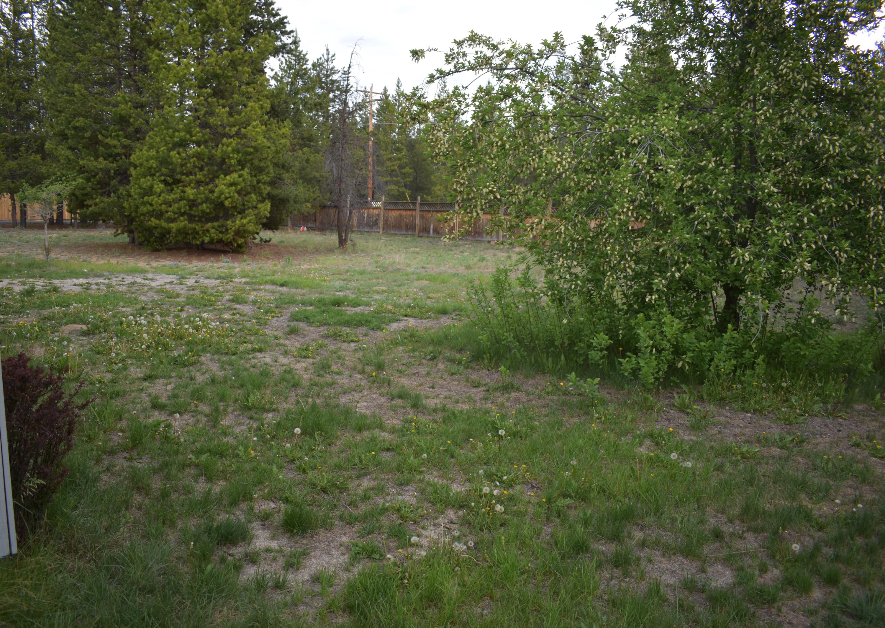 Tall Pines - Residential