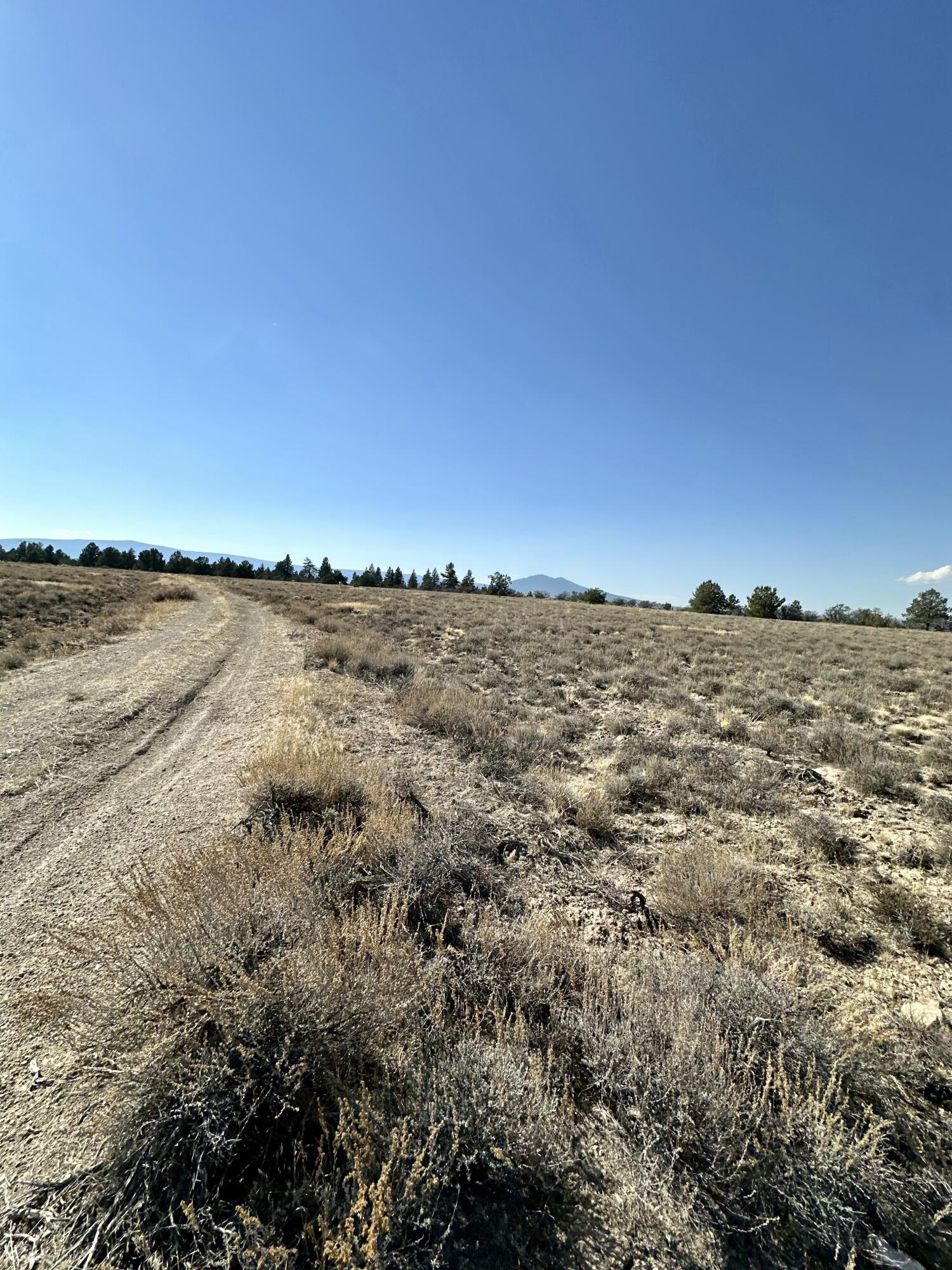 Nimrod River Park - Land