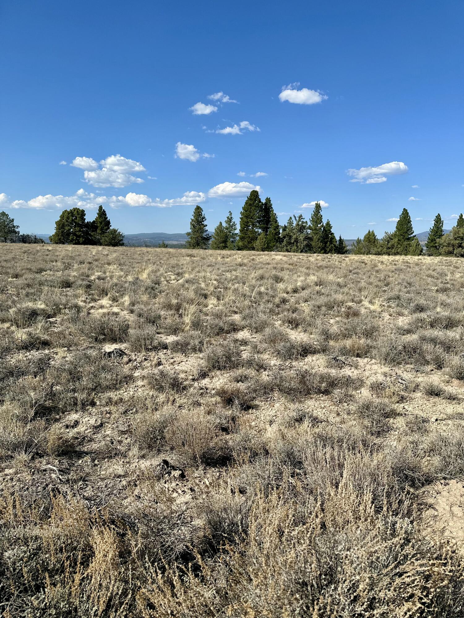Nimrod River Park - Land