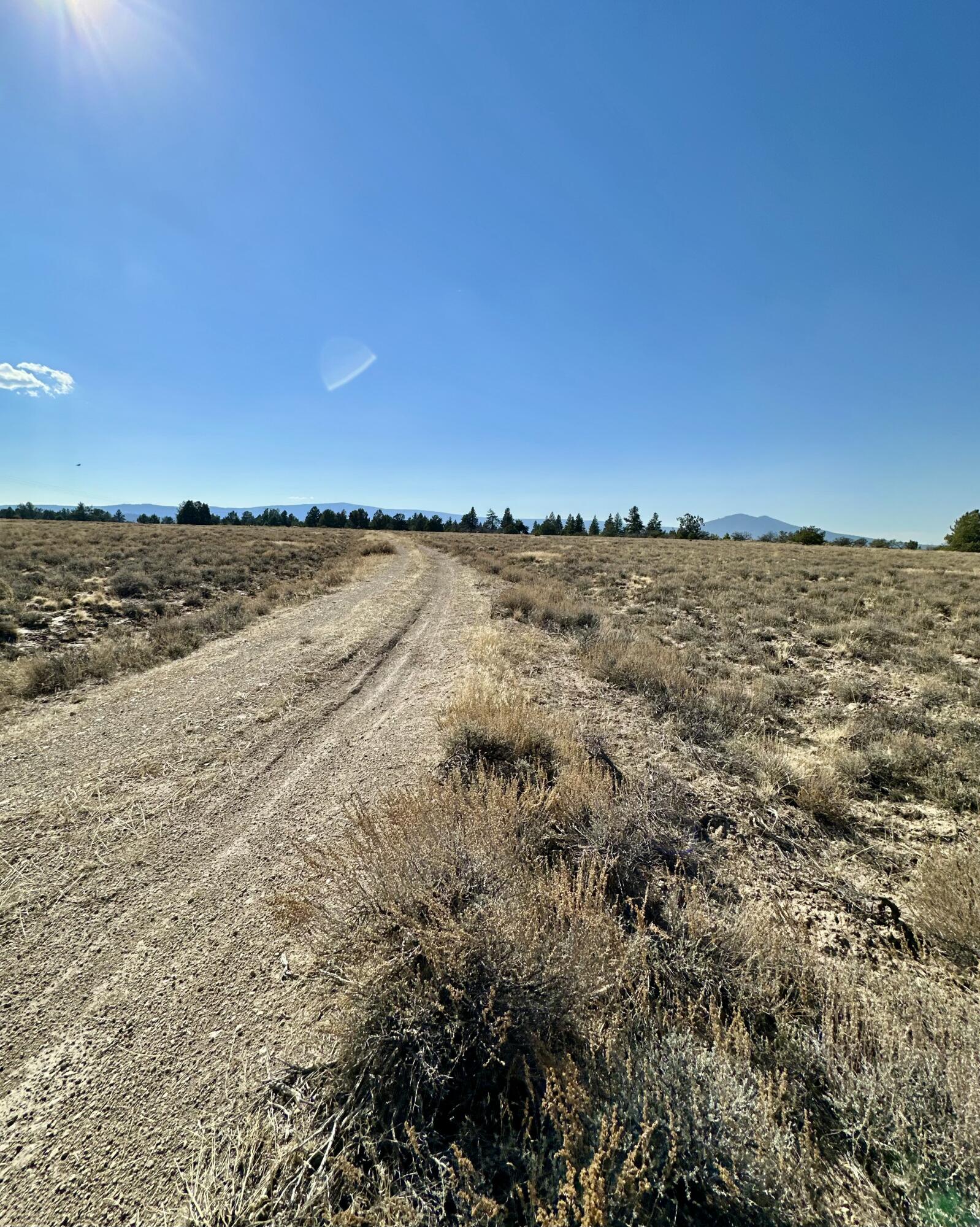 Nimrod River Park - Land