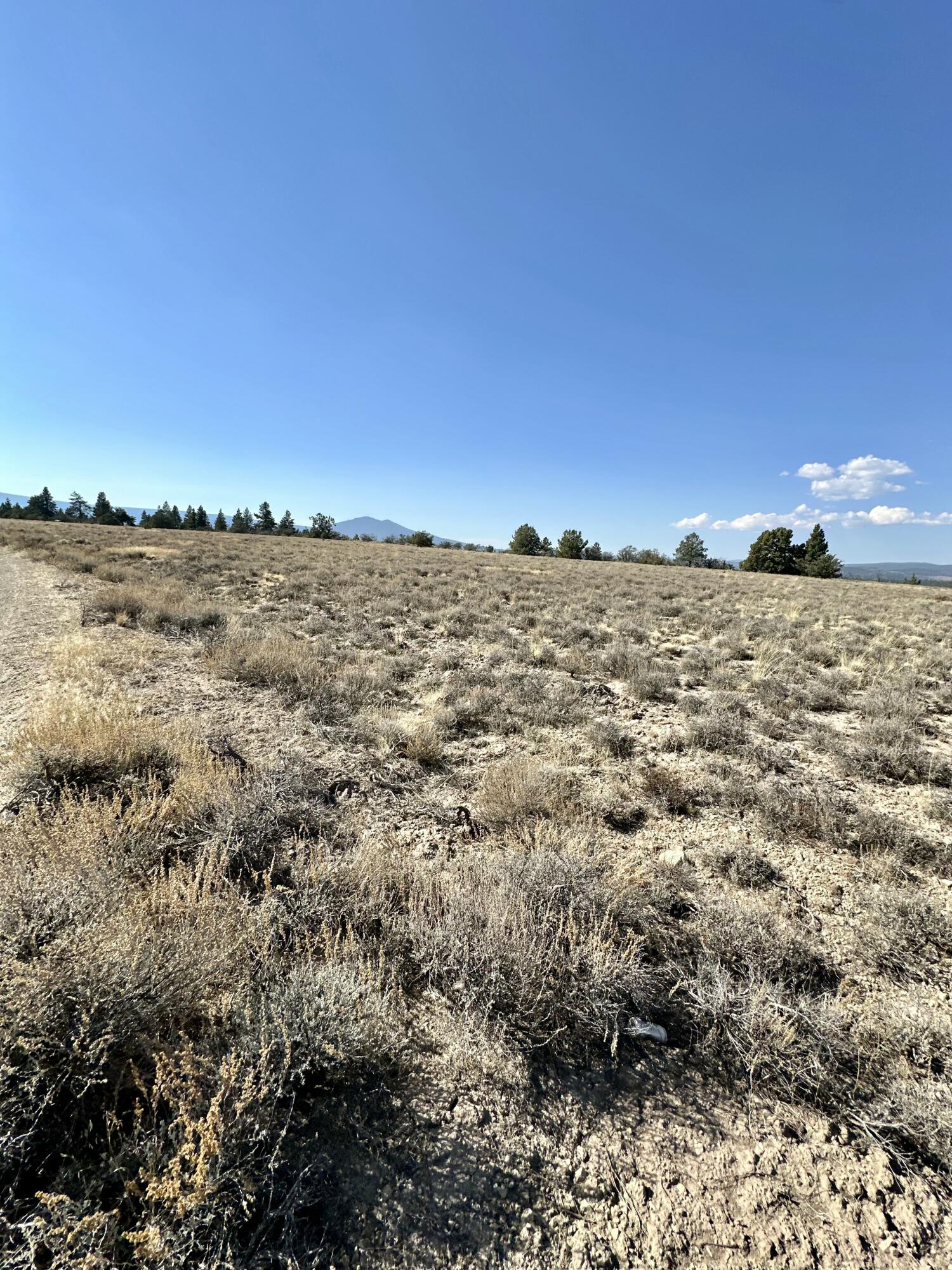 Nimrod River Park - Land