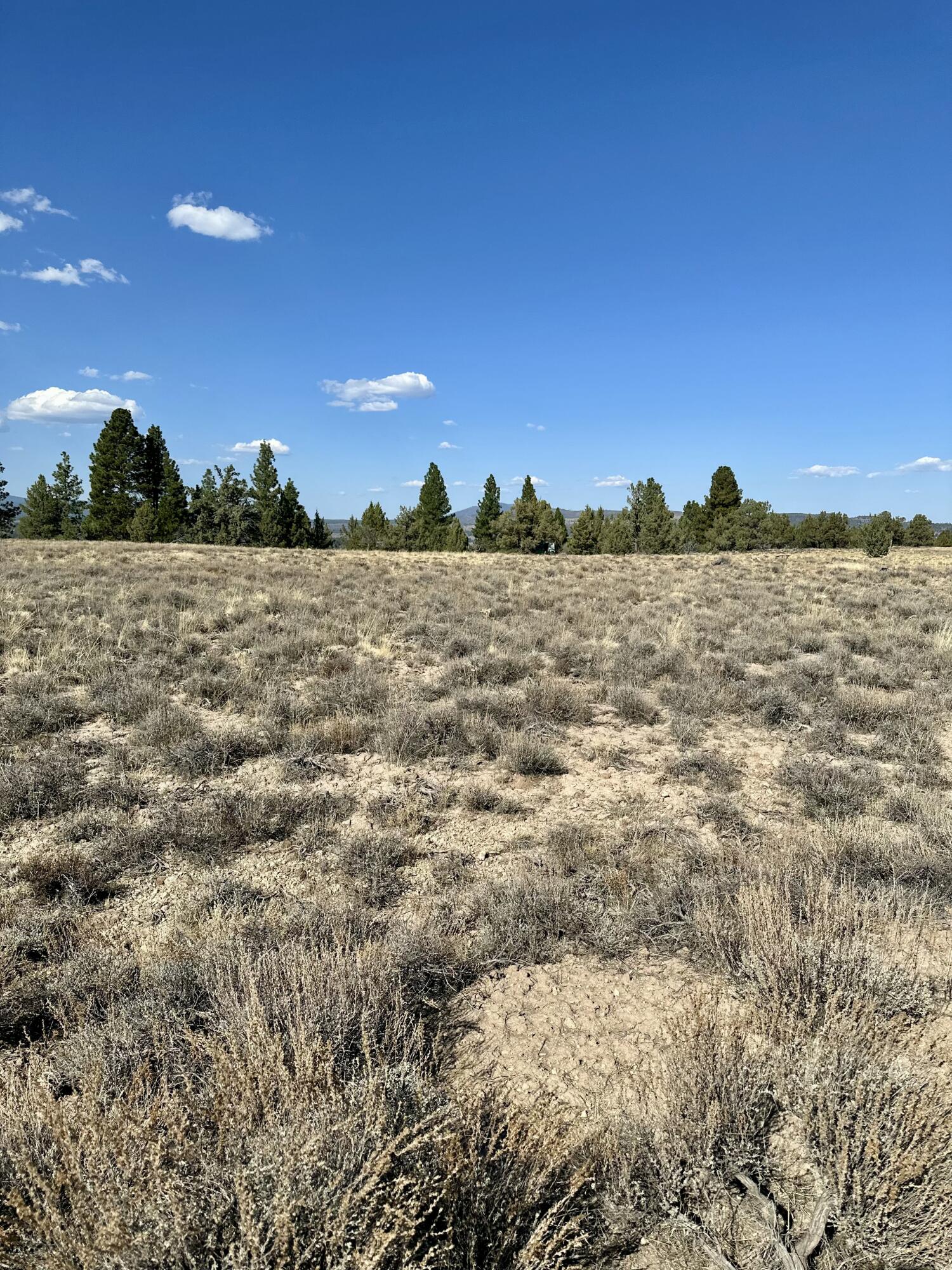Nimrod River Park - Land