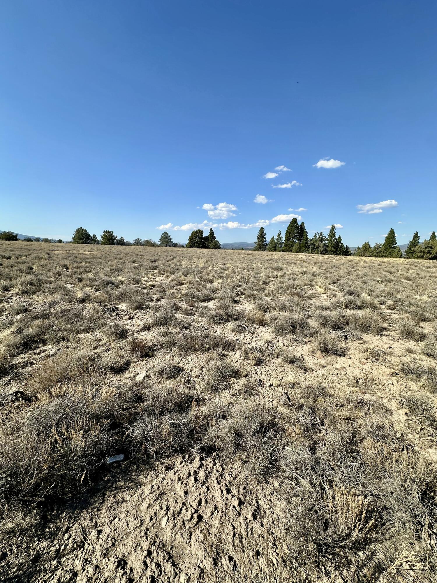 Nimrod River Park - Land