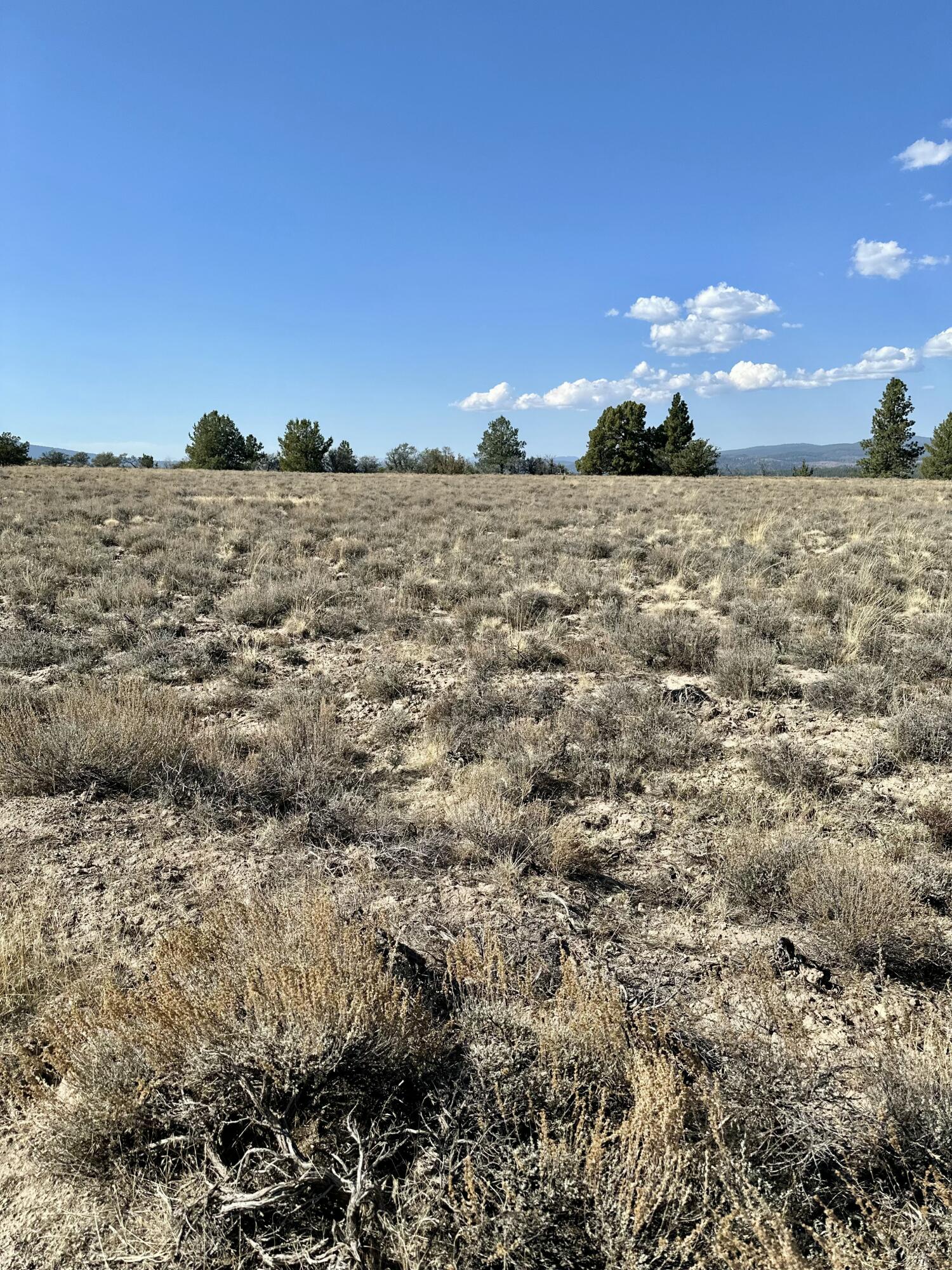 Nimrod River Park - Land