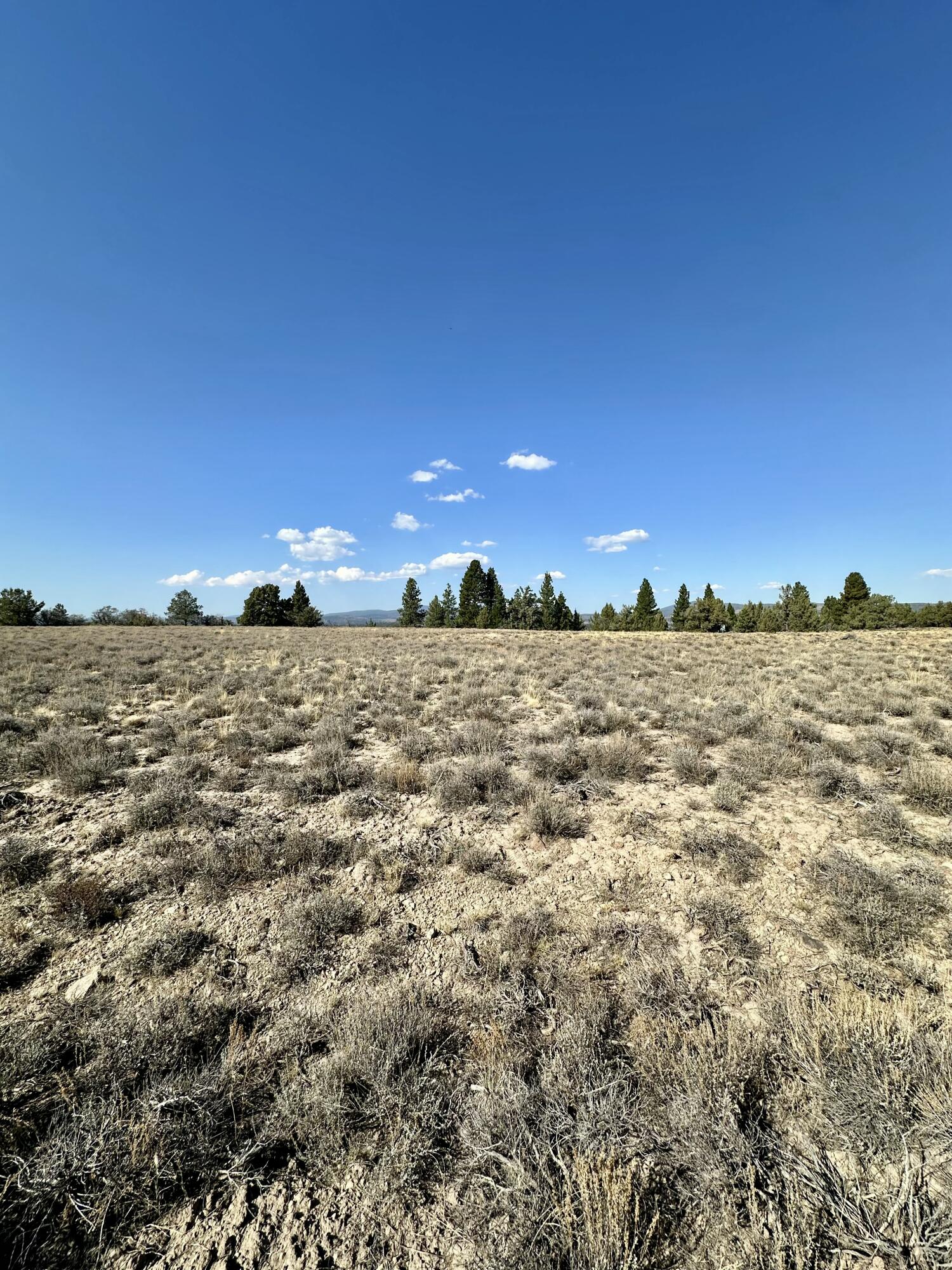 Nimrod River Park - Land