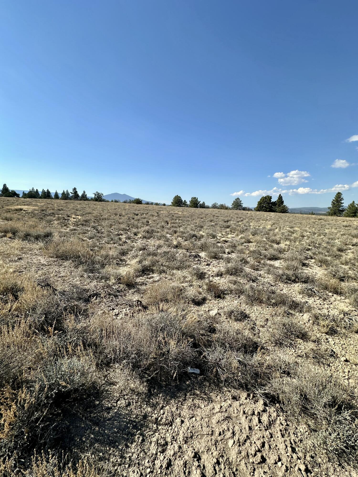 Nimrod River Park - Land