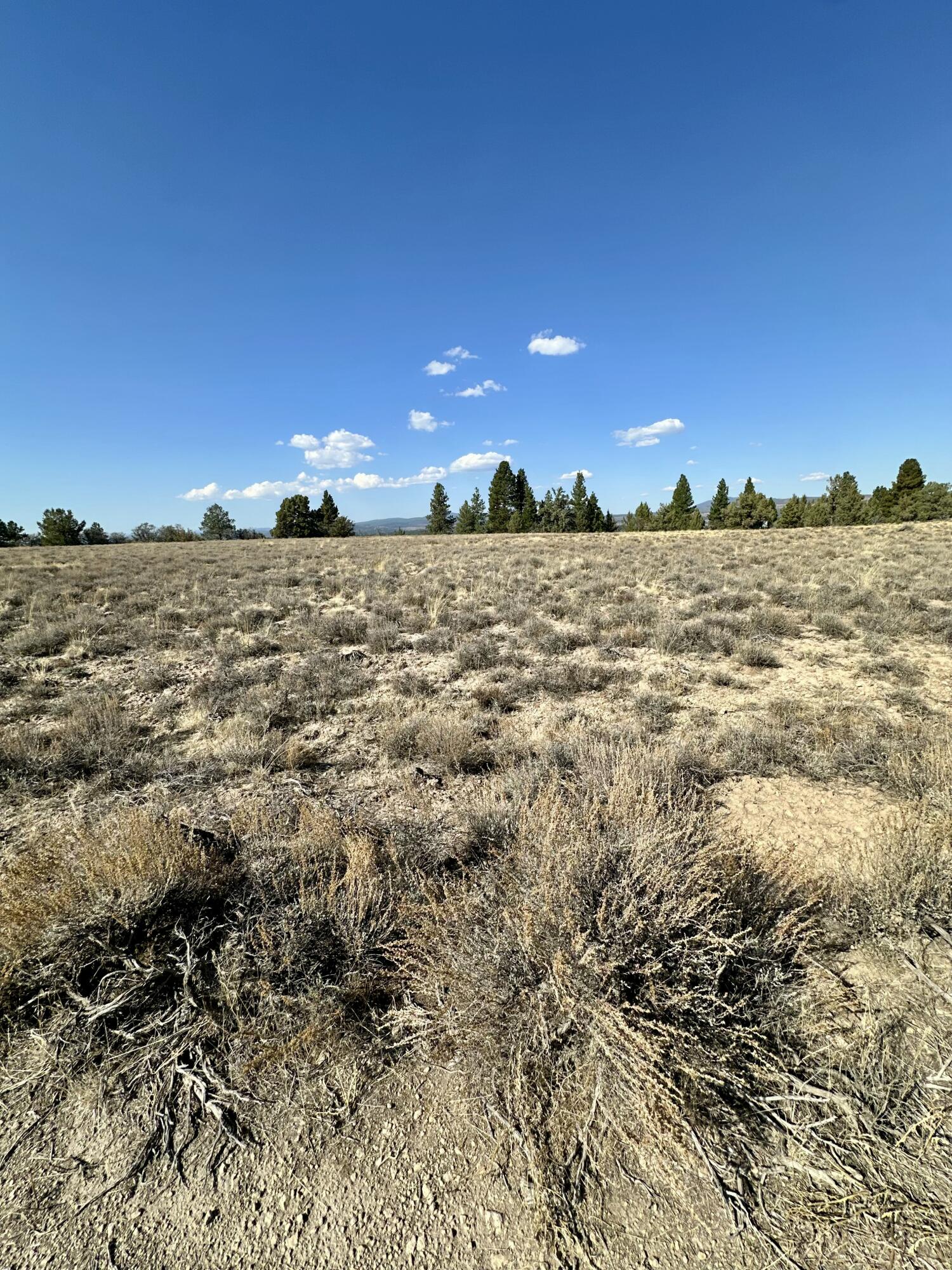 Nimrod River Park - Land