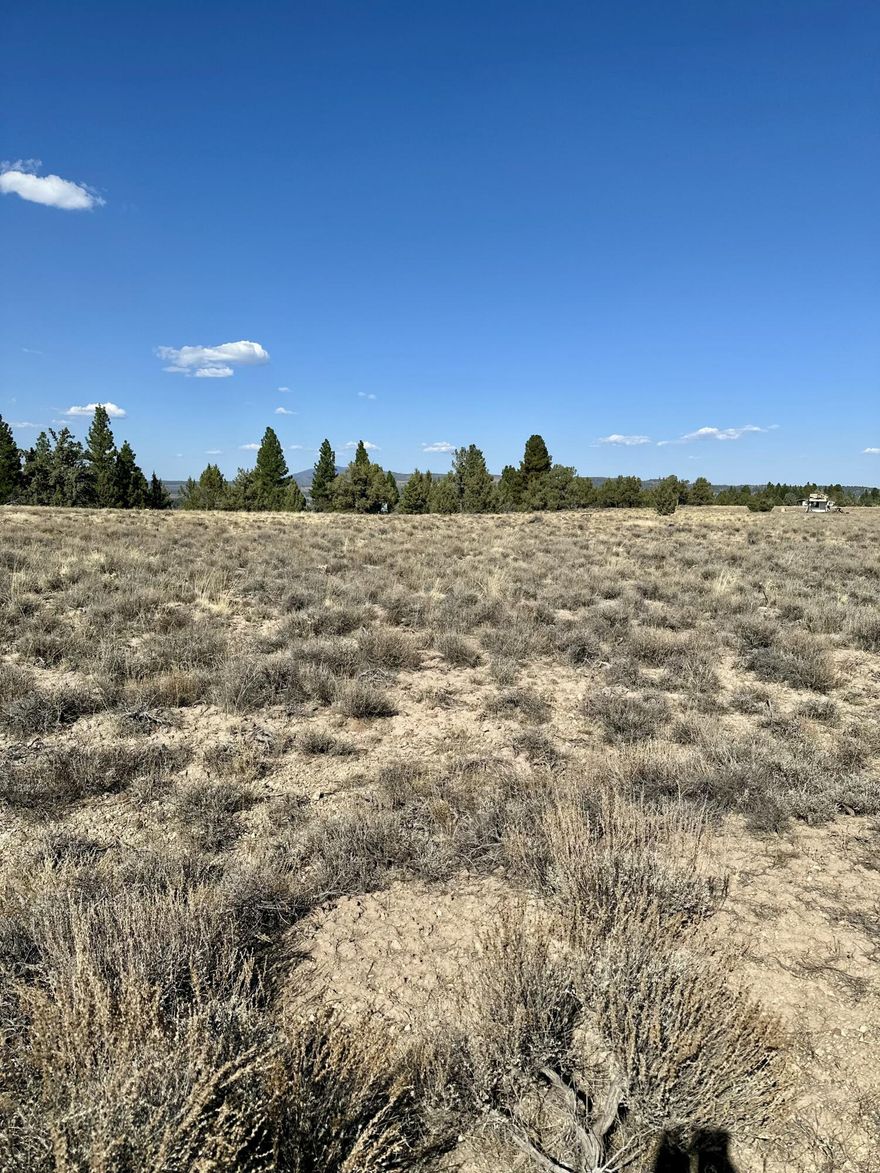 Beautiful 1.65-acre property off Rim Dr. This property is zoned residential, so it could be the perfect place to build your new home or cabin!