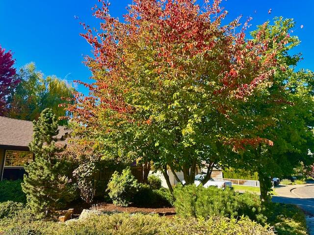 Offord Circle Subdivision - Residential