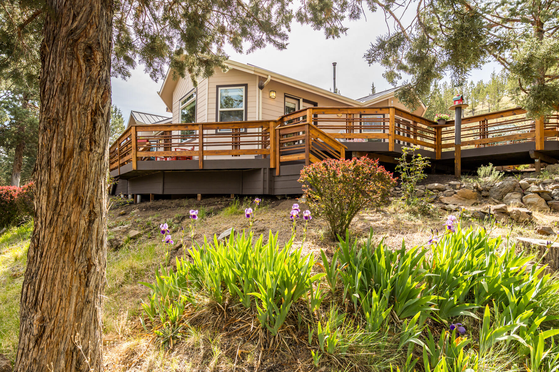 66530 Ponderosa Loop
