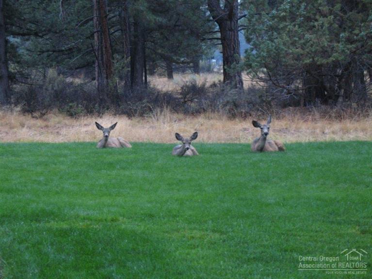 Sage Meadow - Residential