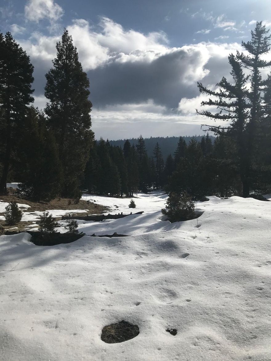 Come check out this beautiful property to build your dream home on! Buyer due diligence. Lots of outdoor fun to have at this location hiking and fishing during spring and summer, snow activities during winter. With this property you have access to the Cascade National Monument and the Pacific Crest National Scenic Trail this property is also backed by BLM property. Already set up with 16 GPM well, septic tank and utility box at driveway for easy hook up to any structure.