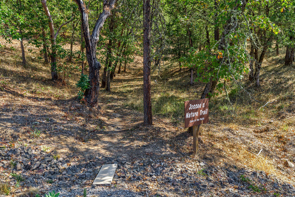 Andrews Place Phase 1 - Residential