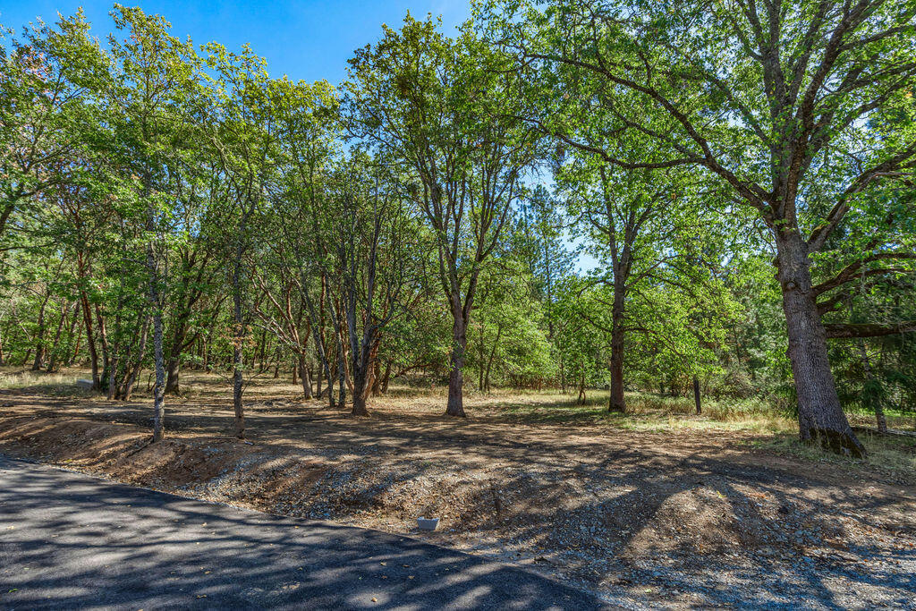 Andrews Place Phase 1 - Residential