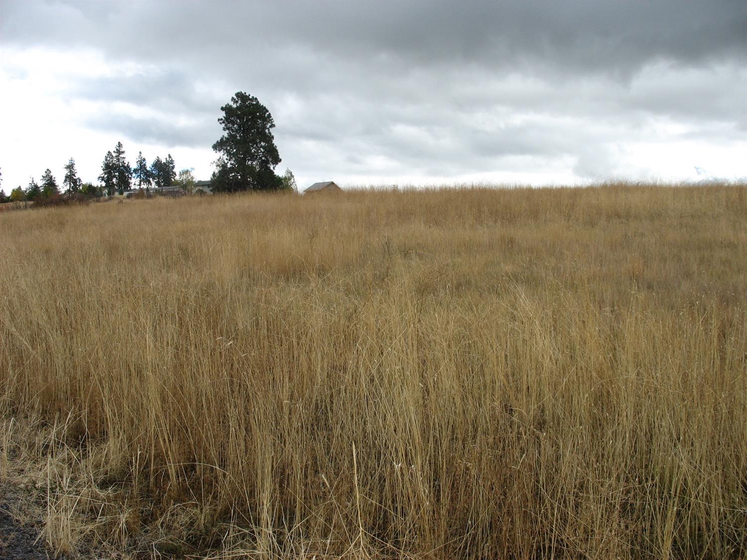 Oregon Shores -Unit 2 - Land