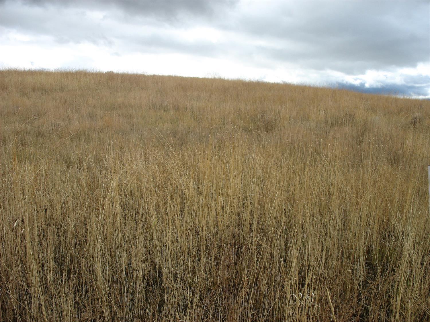 Oregon Shores -Unit 2 - Land