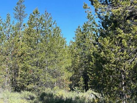 Forest Service Road Gilchrist OR 97737
