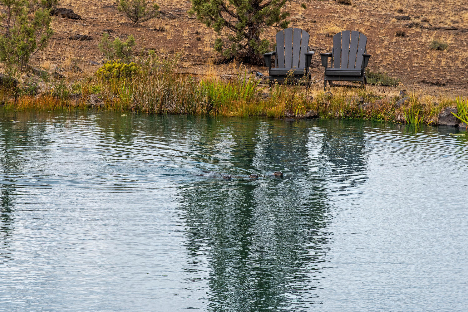 Wild Horse Ridge - Residential