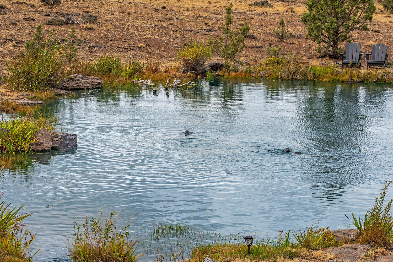 Wild Horse Ridge - Residential