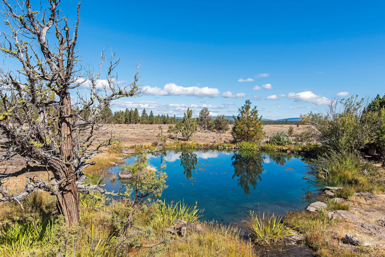 Wild Horse Ridge - Residential