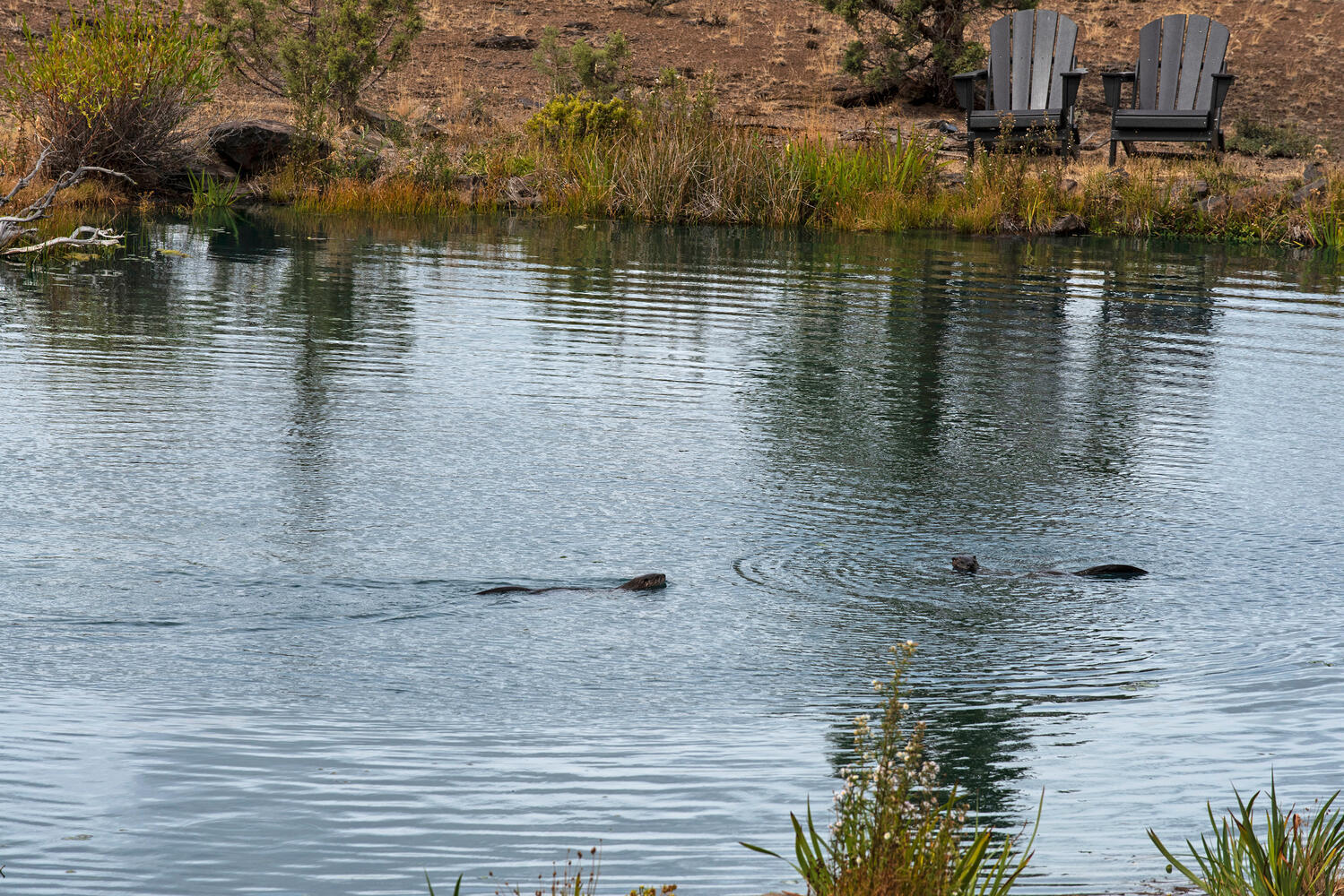 Wild Horse Ridge - Residential