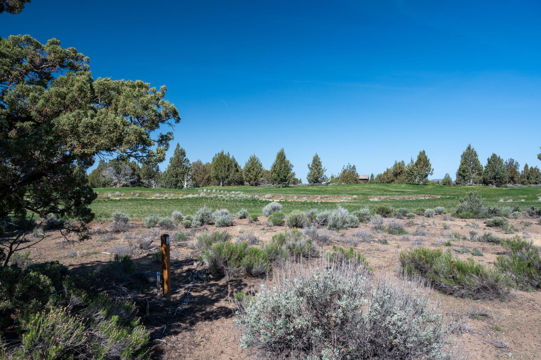 65827 Sage Canyon Court Lot 175