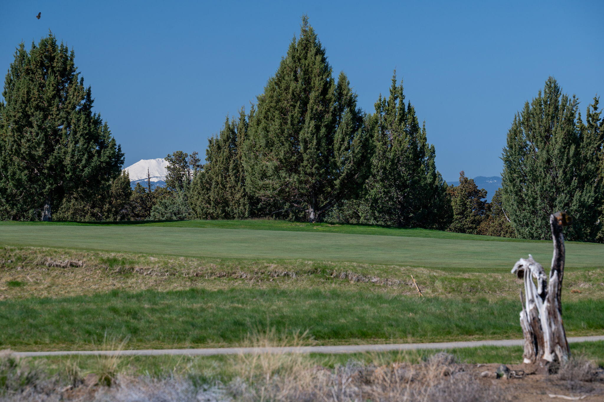 65827 Sage Canyon Court Lot 175